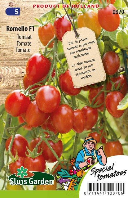tomato romello f1